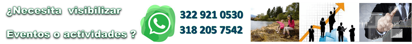 Publicidad1 3105 Pauta1B