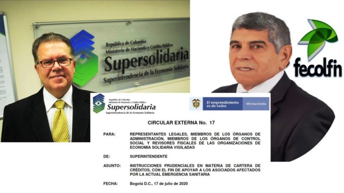Fecolfin Circular 17