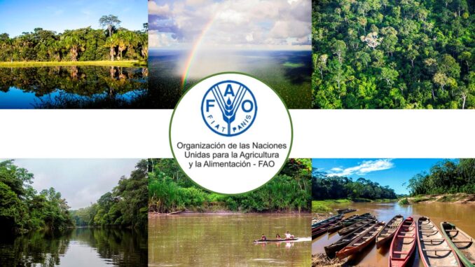 FAO Fondo Verde 0A